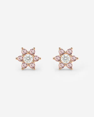 [[Color:Rose Gold]]