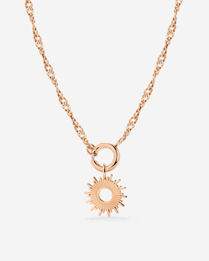 [[Color:Rose Gold]]