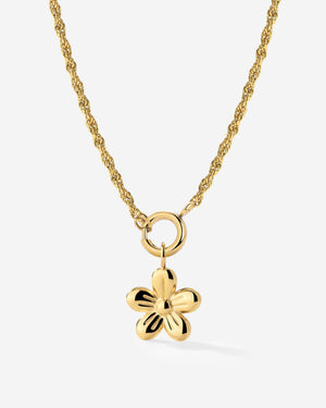 [[Color:Gold]]